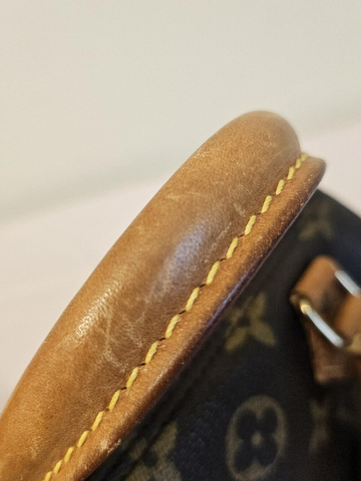 Louis Vuitton Mini Speedy HL