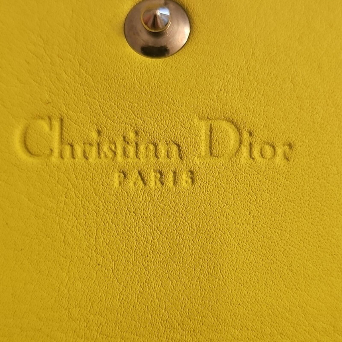 Christian Dior Yellow and Snake Print Wallet On Chain