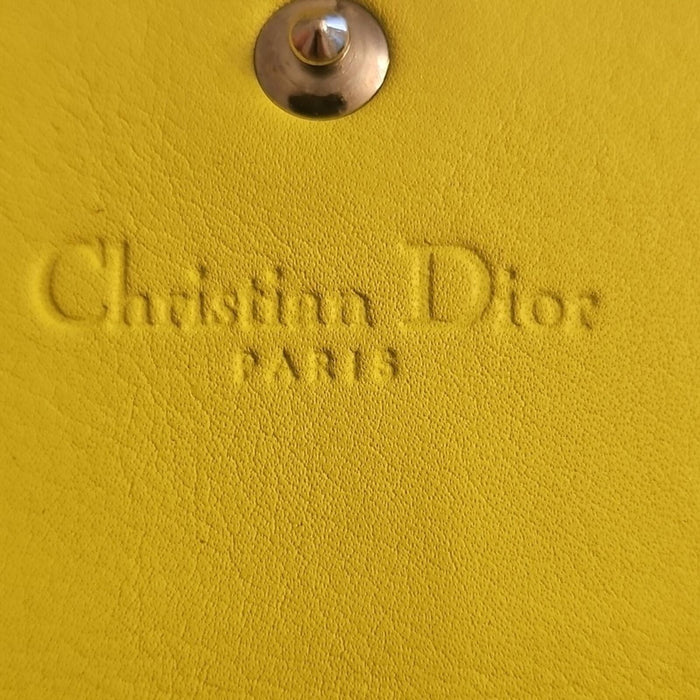 Christian Dior Yellow and Snake Print Wallet On Chain