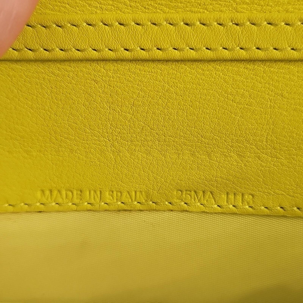 Christian Dior Yellow and Snake Print Wallet On Chain