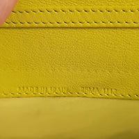 Christian Dior Yellow and Snake Print Wallet On Chain