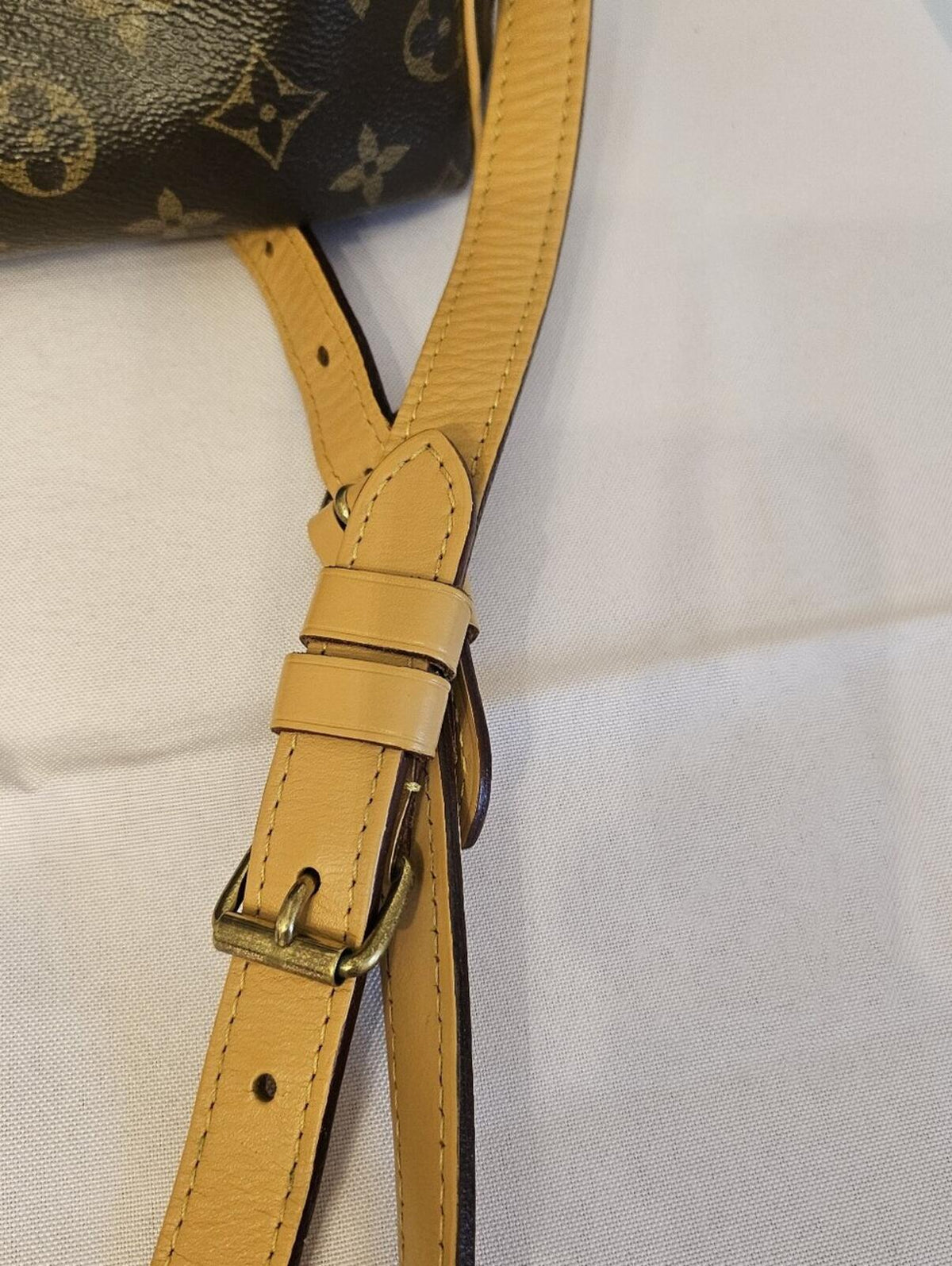 Louis Vuitton Speedy Bandoulière 25 Monogram