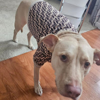 Monogram Dog Sweater 🐶 (Best for 40-65 lbs)