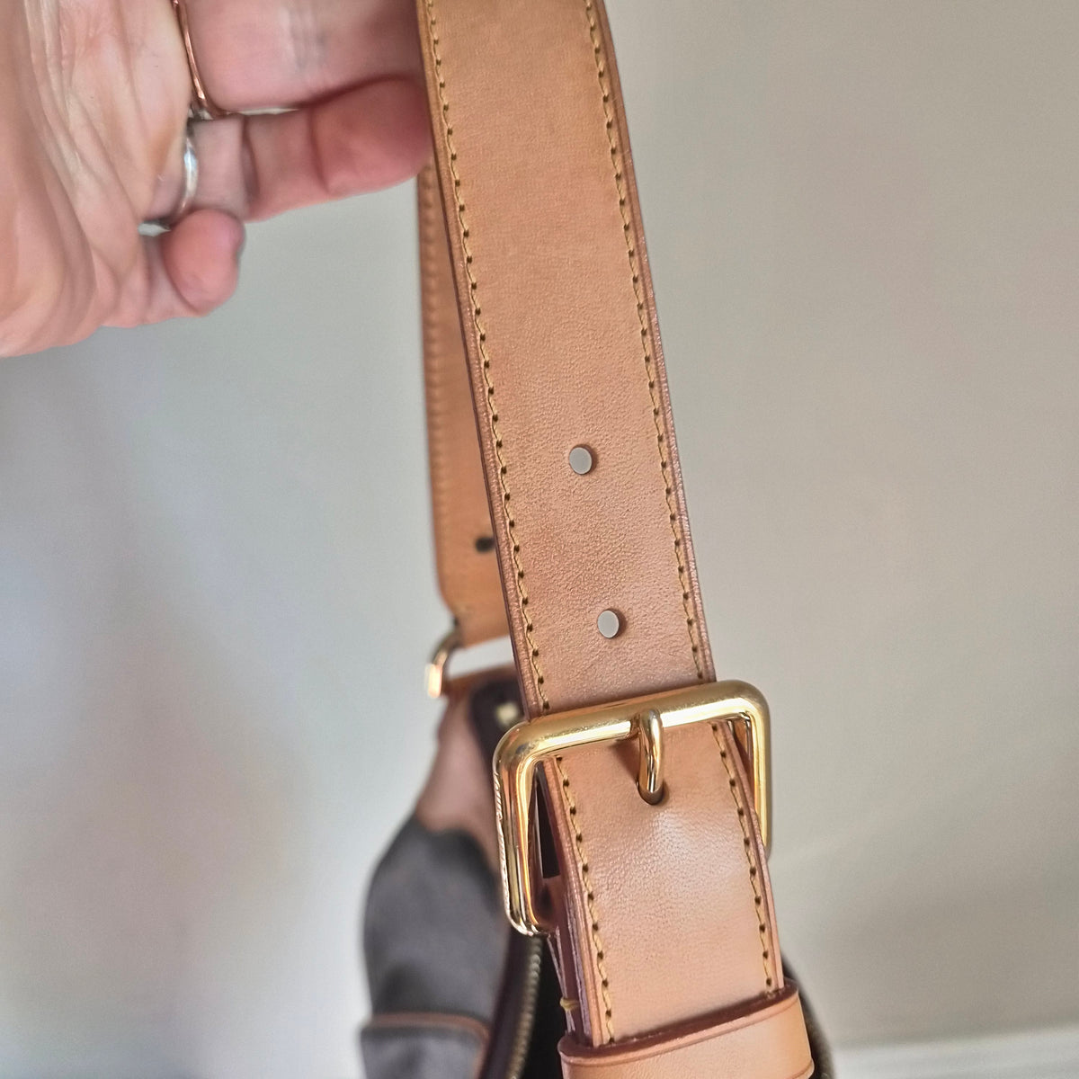 Louis Vuitton Monogram Galliera GM