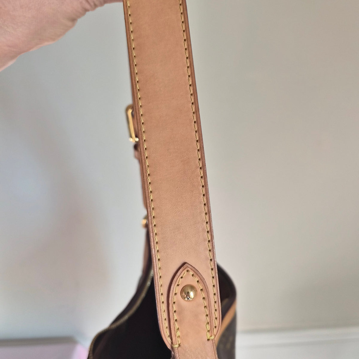Louis Vuitton Monogram Galliera GM