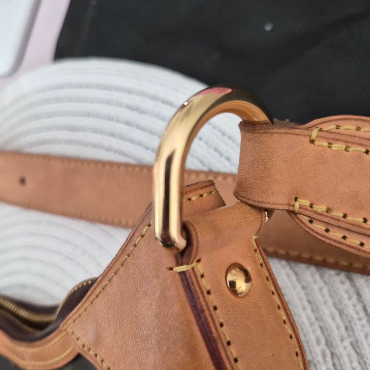 Louis Vuitton Monogram Galliera GM