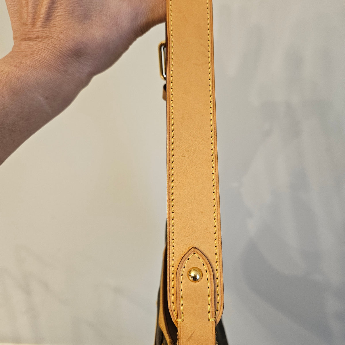 Louis Vuitton Thames PM Shoulder Bag – Monogram Canvas